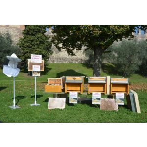 Photo kit frames for educational beehive d.b. 6 or 10 frames