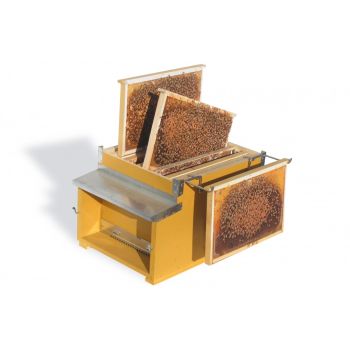 Photo kit frames for 10-frame dadant teaching beehives