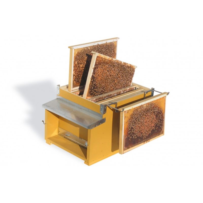 Photographic Kit Frames for Didactic Beehive D.B. from 6 or 10 honeycombs Photographic Kit Frames for Didactic Beehive D.B. from 6 or 10 honeycombs