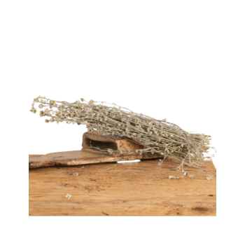 Génépi plante aromatique 20g