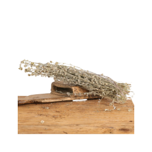 Planta aromática genepy 20g