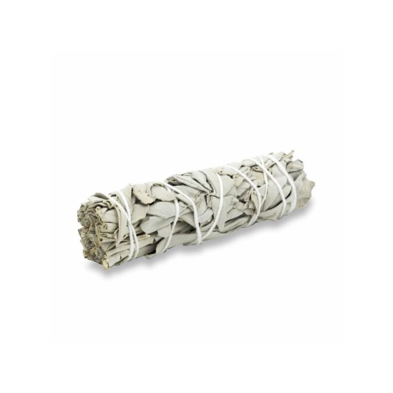 White sage spirit and meditation White sage spirit and meditation
