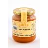 Miele di eucalipto 500g