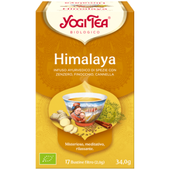 Bio Himalaya Tee - Yogi Tee 17 Filter