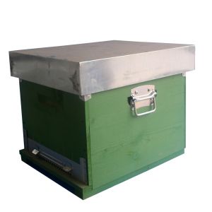 Dadant cubic paraffined beehive 10 honeycomb with fixed anti varroa bottom