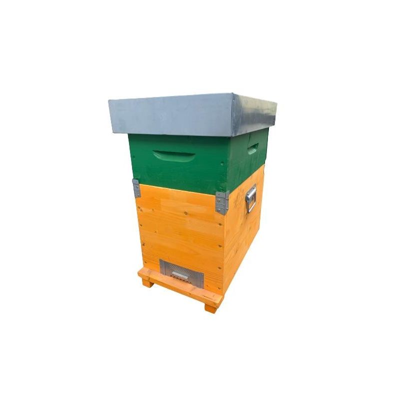 Ruche cubique à 7 cadres à fond fixe avec nid d'abeilles et cadres filetés