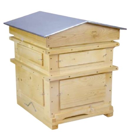 Observation dadant cubic hive 10 honeycomb complet